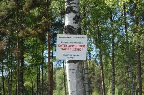 Особо охраняемые лесные участки