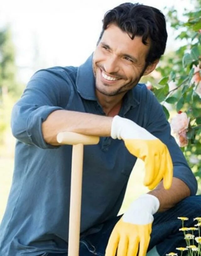 Expert interview. Professional garden maintenance service иконка. the interview expert. top 10 reasons why professional garden maintenance service.