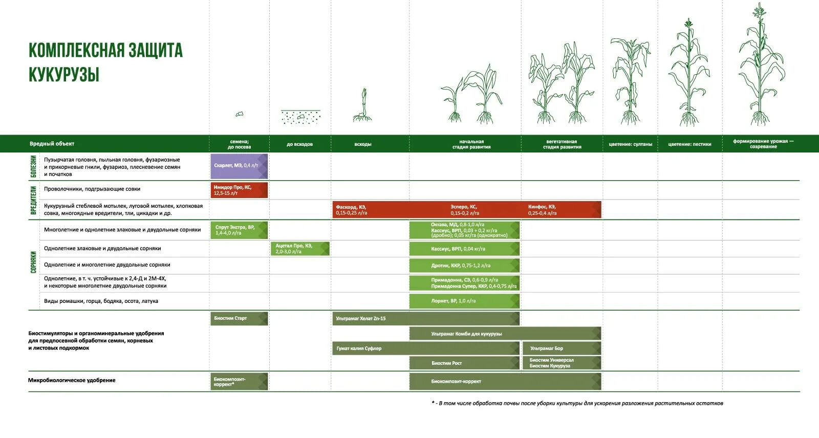 Схема подкормки кукурузы. Система удобрений кукурузы. Подкормка кукурузы таблица. Комплексная защита кукурузы. Комплексная защита организации