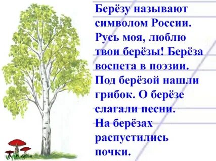 Разницу в словах береза березонька долина долинушка