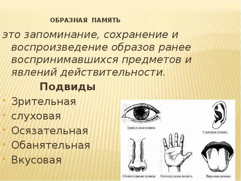 Запоминание сохранение и воспроизведение образов. Образная память. Зрительная и слуховая память. Виды памяти Зрительная. Виды памяти Зрительная слуховая.