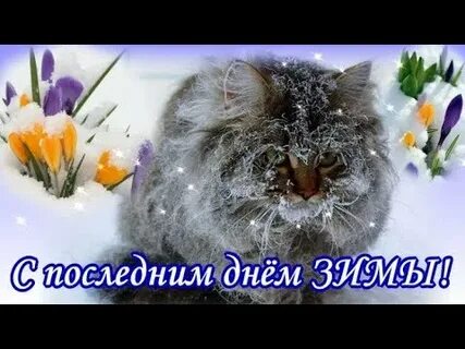 Видео с последним днем зимы