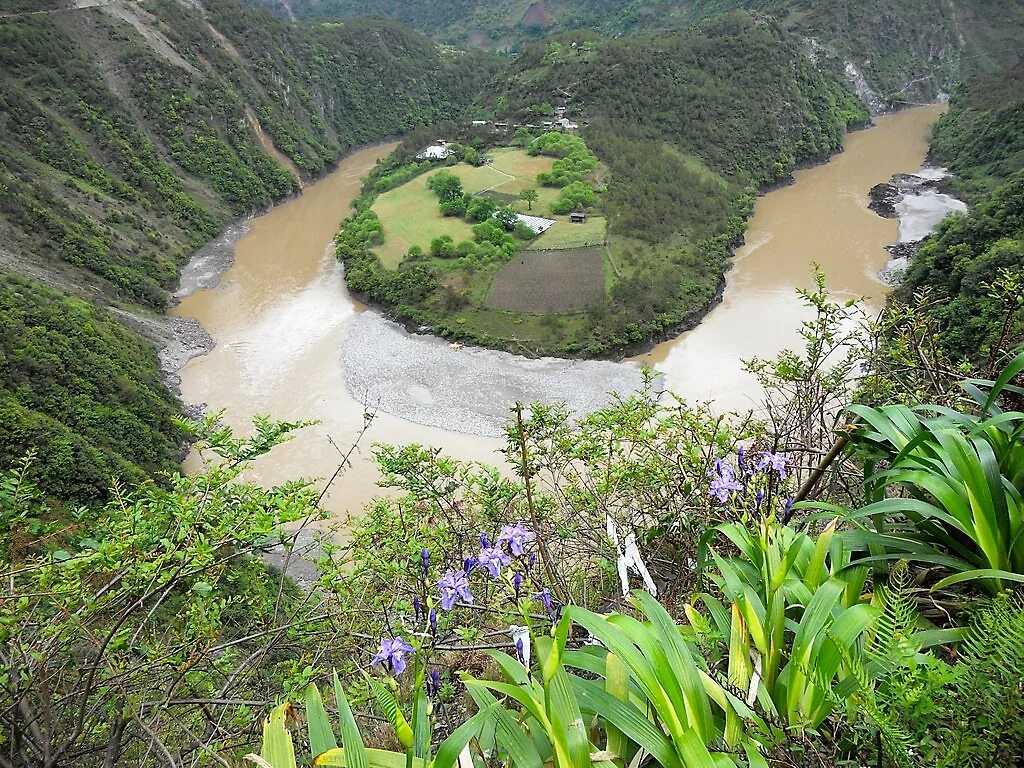 Protected area