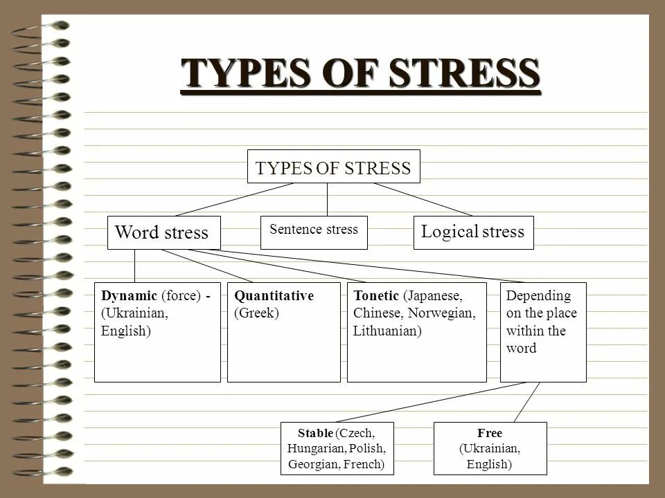 Type the words. Types of word stress in english. word stress презентация. stress in english phonetics. word stress in english phonetics.