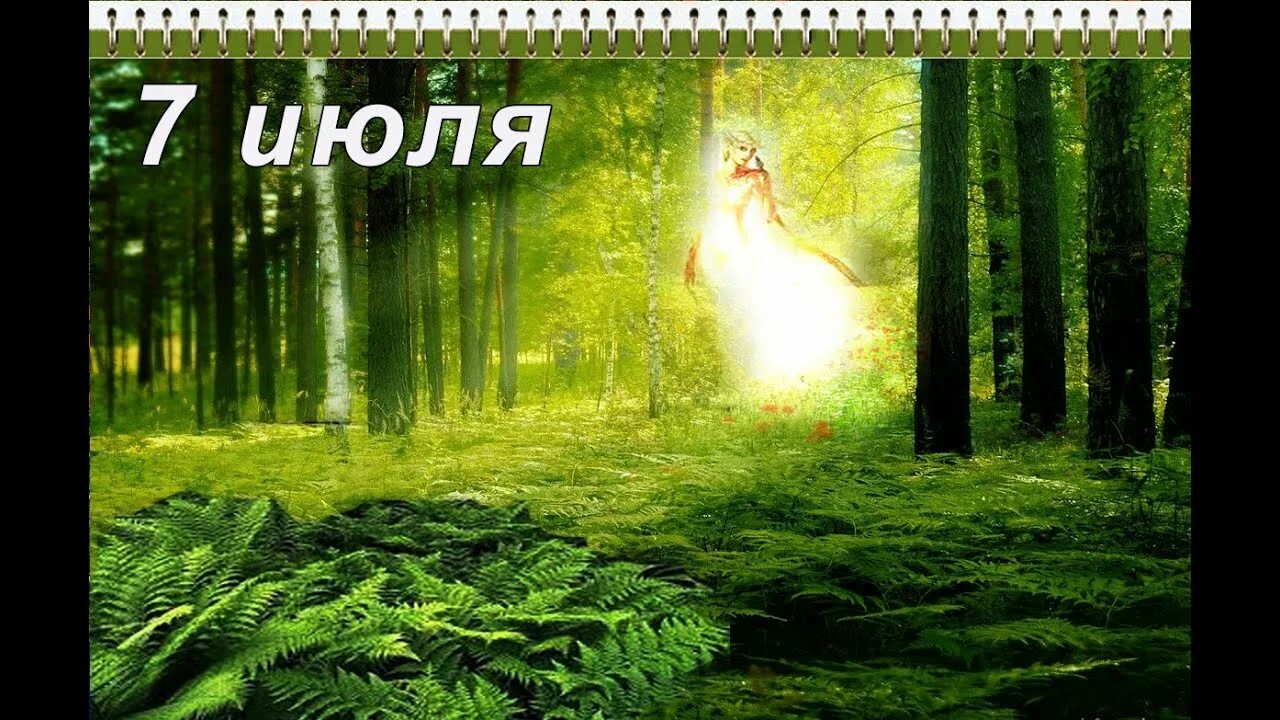 Имя 7 июля. Имя 7 июля