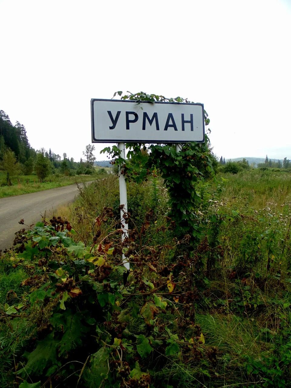 Урман жд станция. Урман урамы. Посёлок урман башкирия. Урман урамы. Урман урамы.