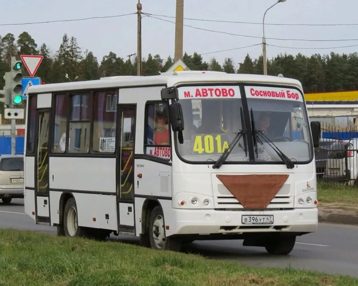 Автобус 402 от парнаса. 401 Автобус Сосновый Бор Автово. Маршрутка 401 Сосновый Бор Автово. Маршрут 401 Парнас Сосновый Бор. 401 Автобус СПБ-Сосновый Бор.