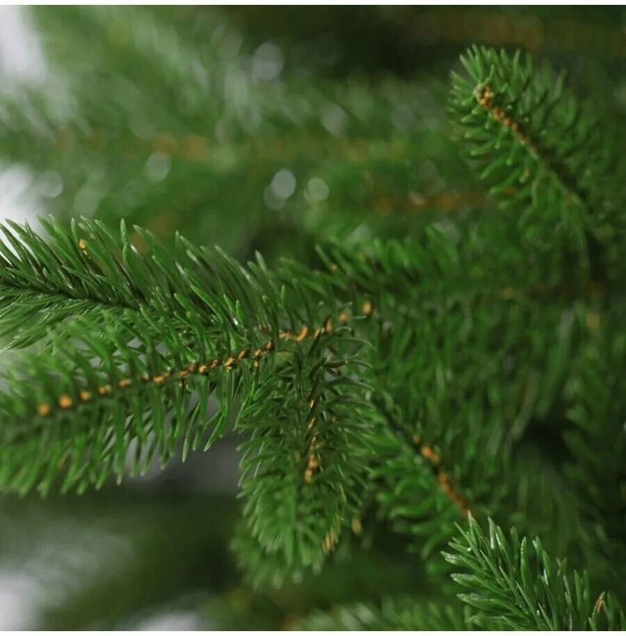 царь елка астерия 210 премиум. царь елка крымская премиум. царь елка премиум 180. царь елка диамант 180. царь елка премиум 180.