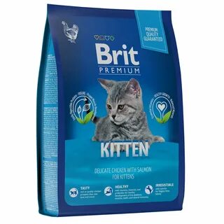 Сухие корма для котят brit