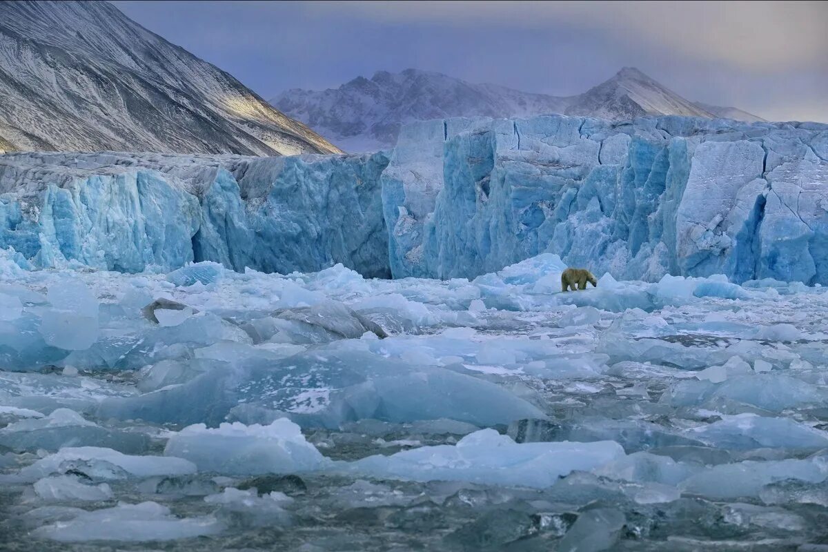 Арктическая зона северной америки. Арктические пустыни и Ледяная зона. Шпицберген ледник. Арктические пустыни ледники. Арктические Полярные пустыни.
