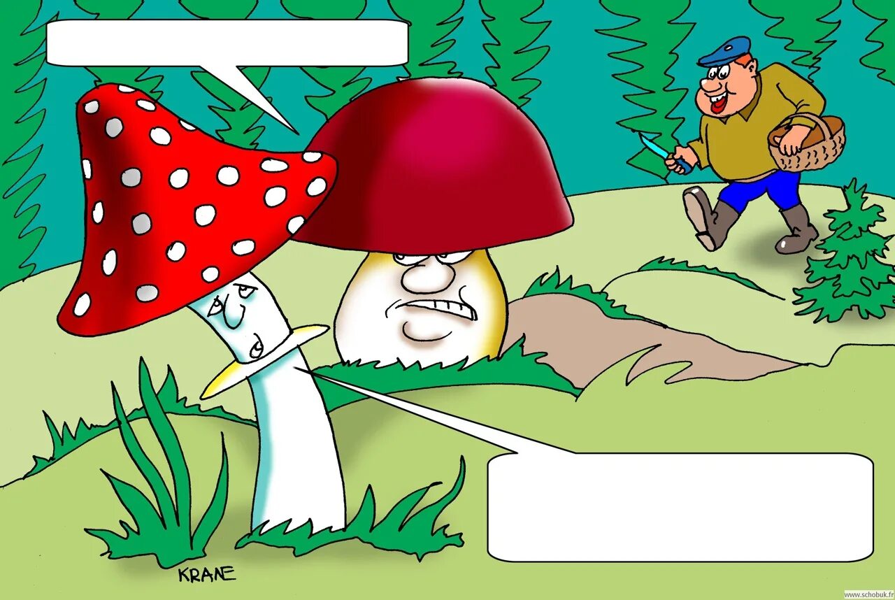 Теперь начинается. Шутки про сбор грибов. Шутки про грибы. Смешные шутки про грибы. Мухомор прикол.