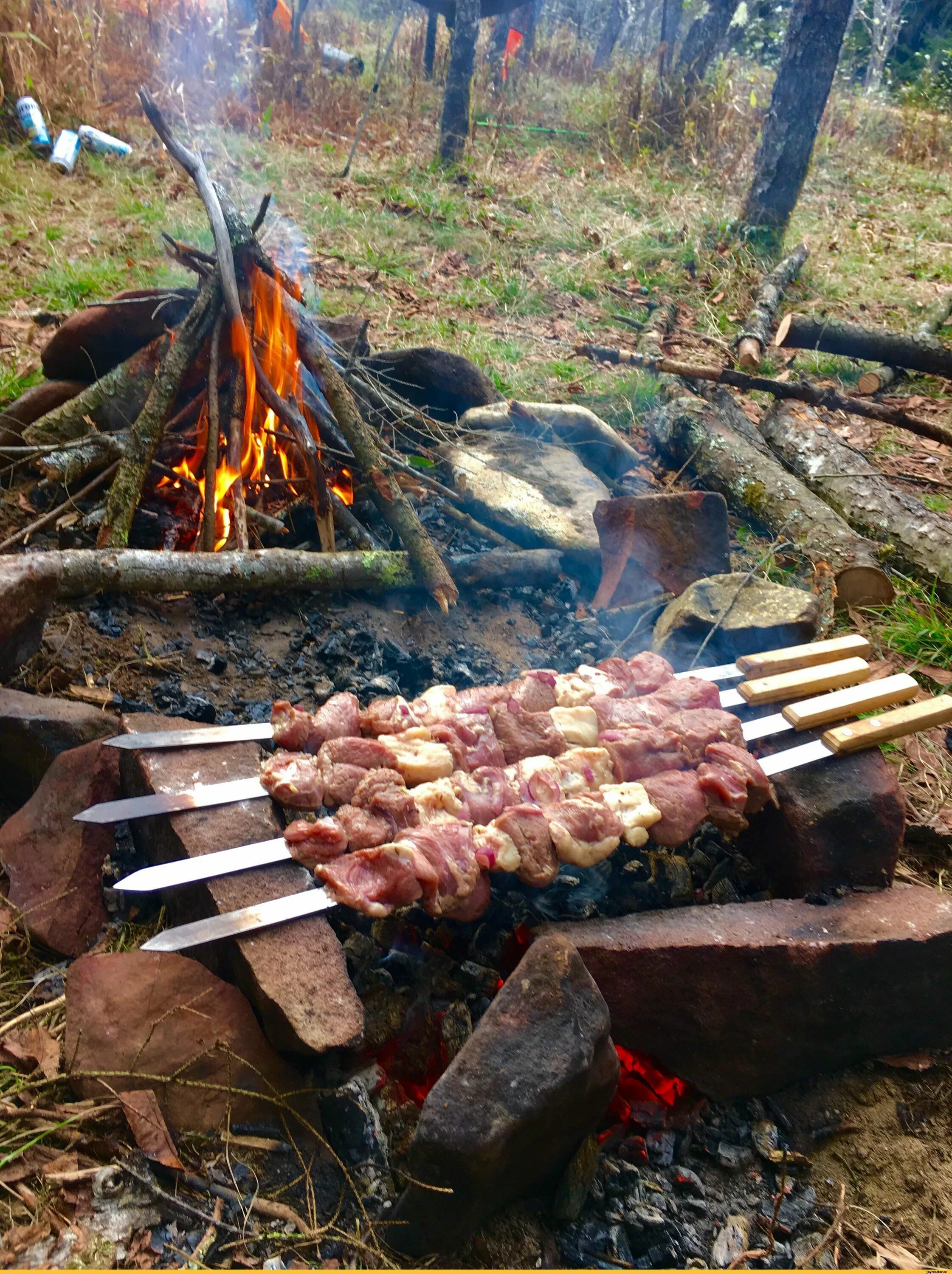 Можно ли шашлык в лесу. Шашлыки на природе. Пикник шашлык на природе. Шашлык на костре. Мангал на природе.