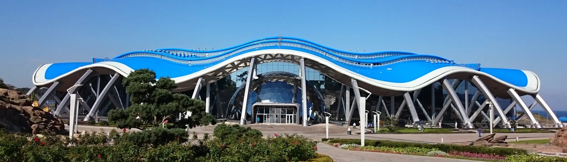 Приморский океанариум празднует день рождения Приморский Океанариум
