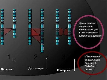 Делеция 2 хромосомы