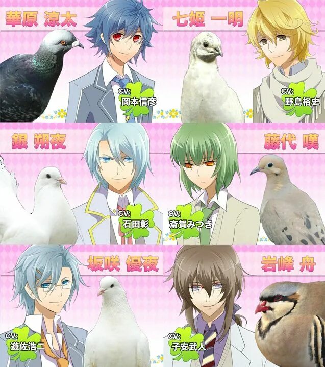 Бойфренд новелла. Hatoful boyfriend игра. Голуби в Hatoful boyfriend. Визуальная новелла про голубей. Симулятор свиданий с голубями.