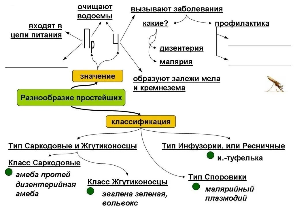 Опорный конспект значение простейших. Опорные схемы конспекты по биологии. Опорный конспект по паразитическим простейшим. Опорный конспект простейшие. Конспект по теме значение биологии