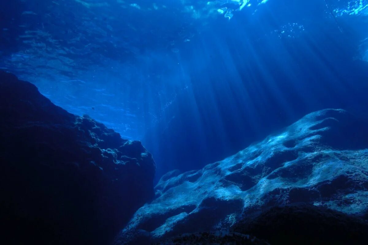 Ocean inside