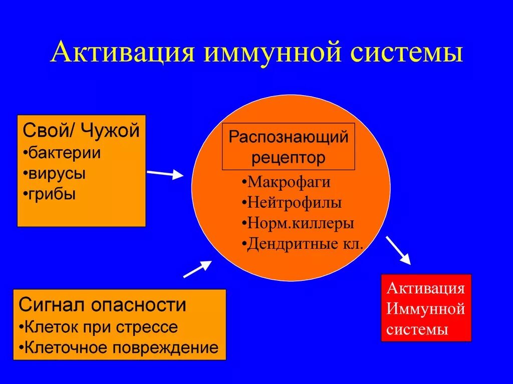 Как работает свой чужой