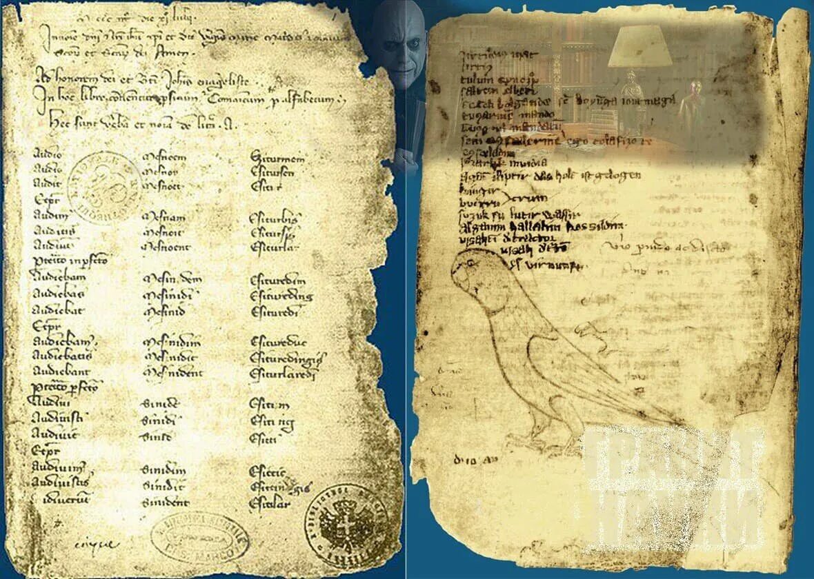 Кодекс куманикус книга. «кодекс куманикус». Кодекс куманикус книга. Кодекс куманикус ескерткіші. Кодекс куманикус книга.