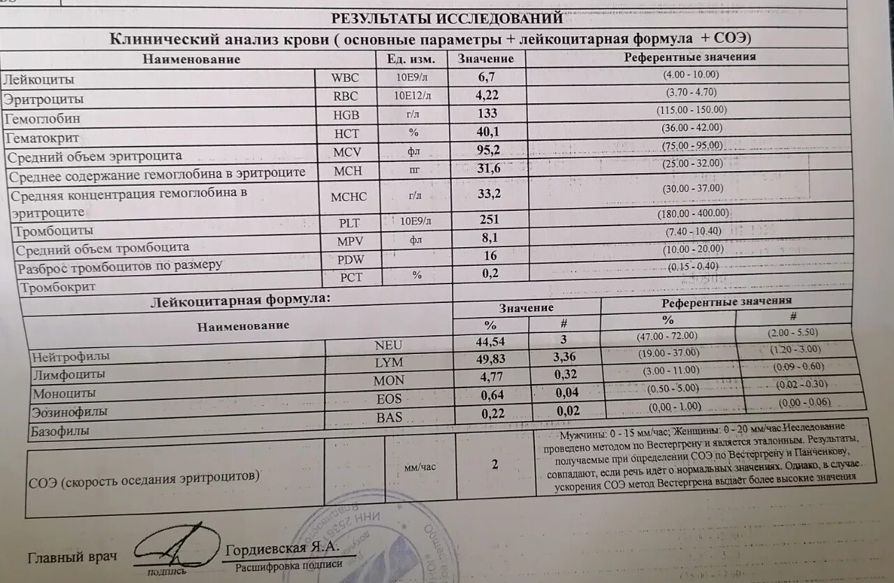 Пояснение анализа крови. Клинический анализ крови ОАК. Клинический анализ крови норма пример. Общий (клинический) анализ крови результат. Клинический анализ крови как выглядит результат.