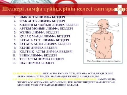 Транссексуалдардың каммингінің порно видеолары (компиляция)