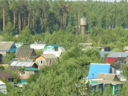 Населенном пункте дачное