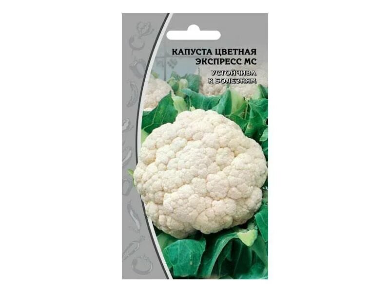 Капуста экспресс фото