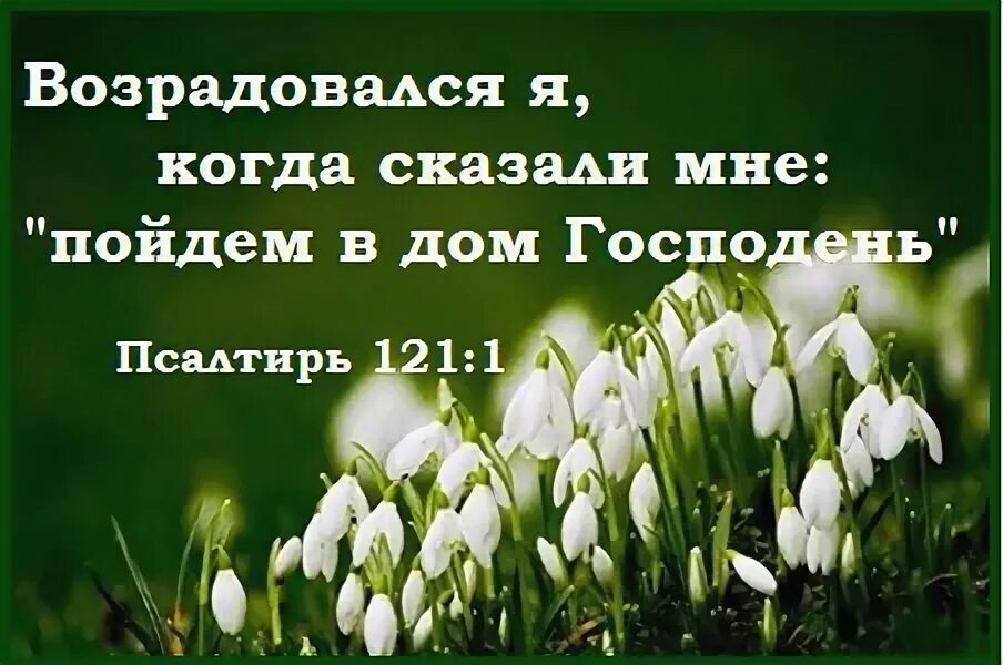 Когда говорят многие лета. Когда сказали мне пойдем в дом Господень возрадовался. Пойдём в дом Господень. Возрадовался я когда сказали мне пойдем в дом Господень картинки. Пойдем в дом Господень Библия.