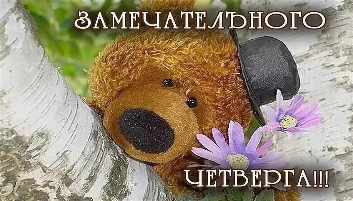 Картинка доброе утро удачного четверга. С добрым утром четверга картинки. доброго четверга. открытки с добрым утром четверга прикольные. хорошего четверга и отличного настроения.