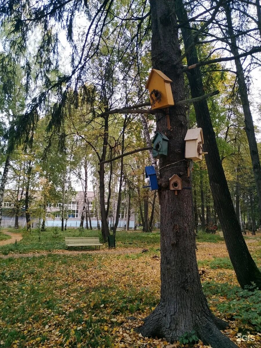 Дендропарк Ижевск парк Космонавтов. Парк Космонавтов Ижевск аттракционы. Парк Космонавтов Ижевск зимой. Дзержинского парк Космонавтов Ижевск. Выставка цветов ижевск 2024 парк космонавтов