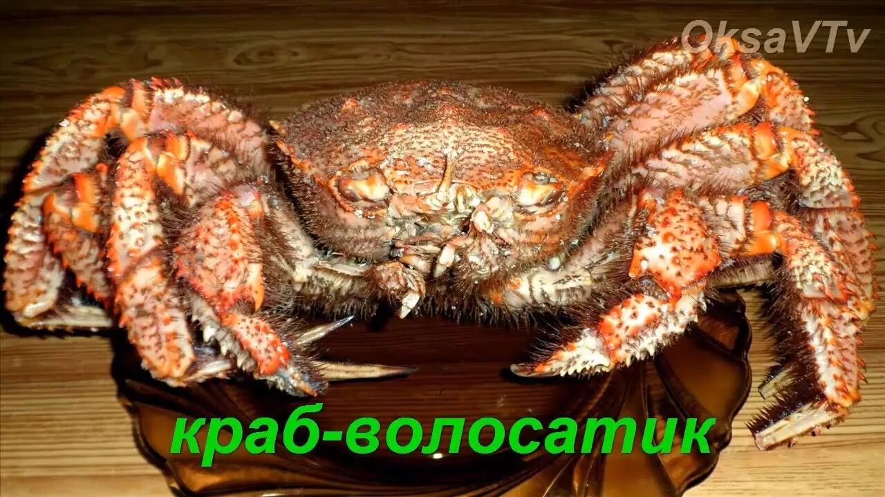 Как разделать краба