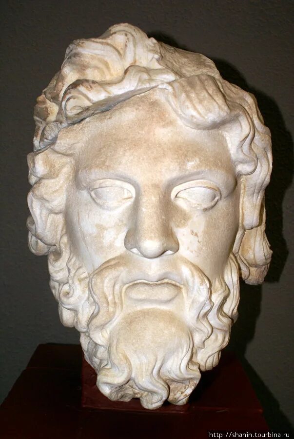 Голова на греческом. Голова древнегреческого философа. Голова греческой статуи Диаден. Кудрявая голова древнегреческая. Голова греческий терминоэлемент.