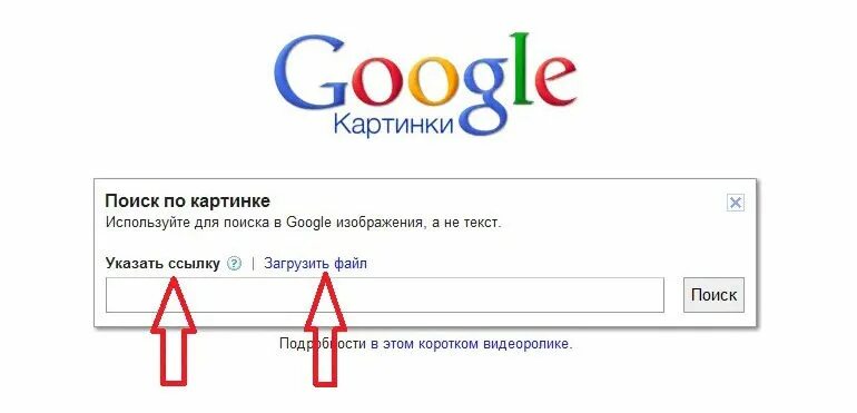 Найти по изображению. Поиск по картинке. Искать картинку по картинке. Поискпоиск по картинкен. Поисковик картинок по изображению.