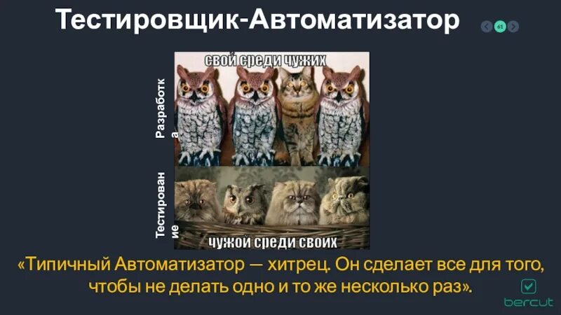 Проектировщик роботов. Тестировщик автоматизатор. Тестировщик картинки. Автоматизация тестирования. Тестировщик автоматизатор.