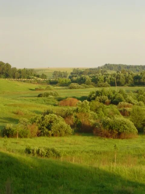 Новые ивайтенки брянск. Ивайтенки брянская область дом культуры. Ивайтенки дом культуры брянск фото. Унеча озеро. Новые ивайтенки брянск.