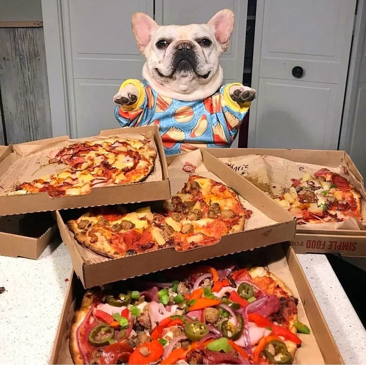 Funny pizza