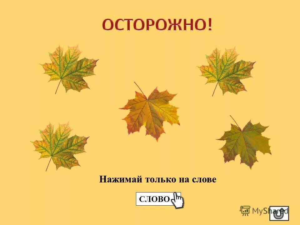 Основная мысль текста лист листочек. Лист родственные слова. Слово лист. Слово лист из листьев.