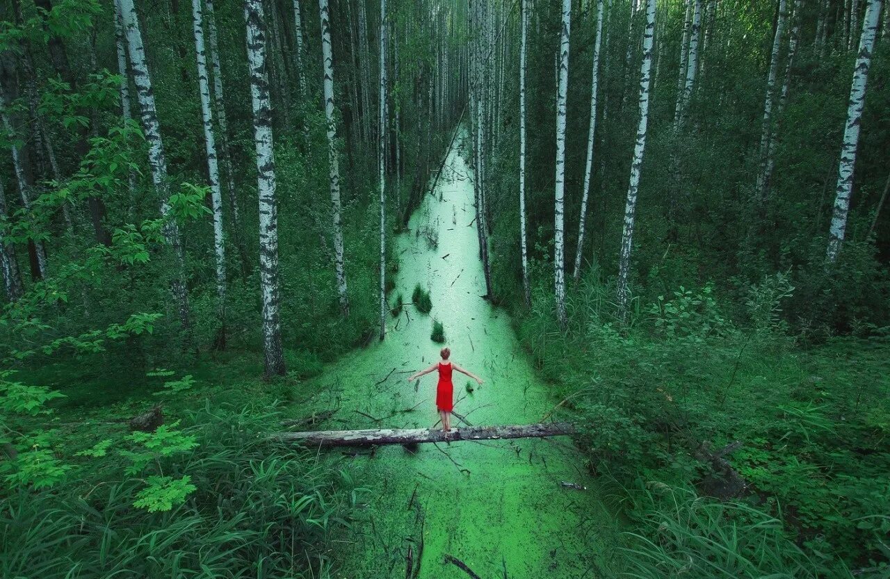 Метр в природы