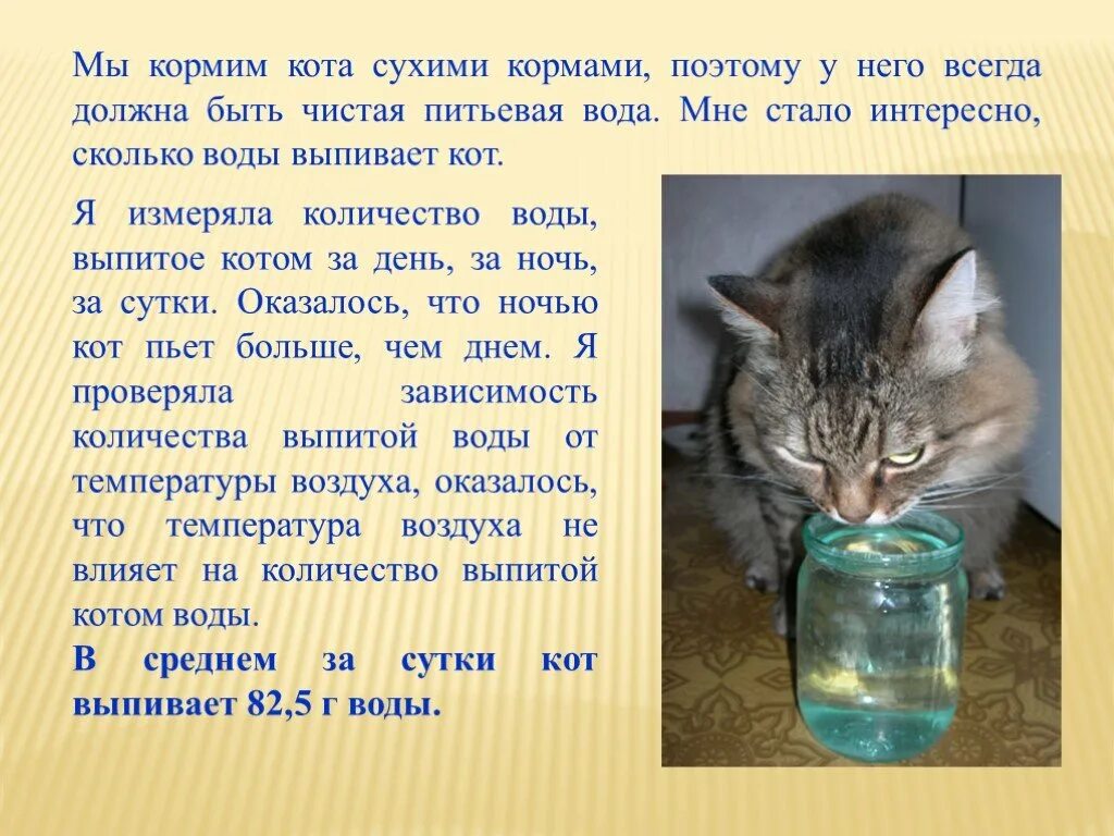 Сколько раз кот должен. Котёнок норма воды. сколько кот должен пить воды в сутки. сколько воды нужно коту в сутки. сколько воды нужно выпивать коту в день.