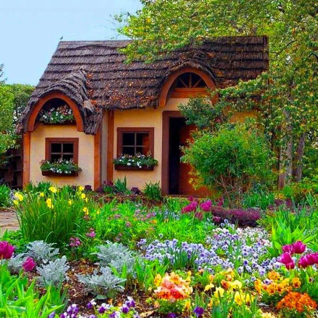Увлеклась дачей. Красивый домик. Домик в саду. Маленький домик в саду. Красивая дача.