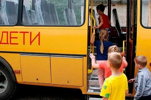 Группу детей можно перевезти автобусами