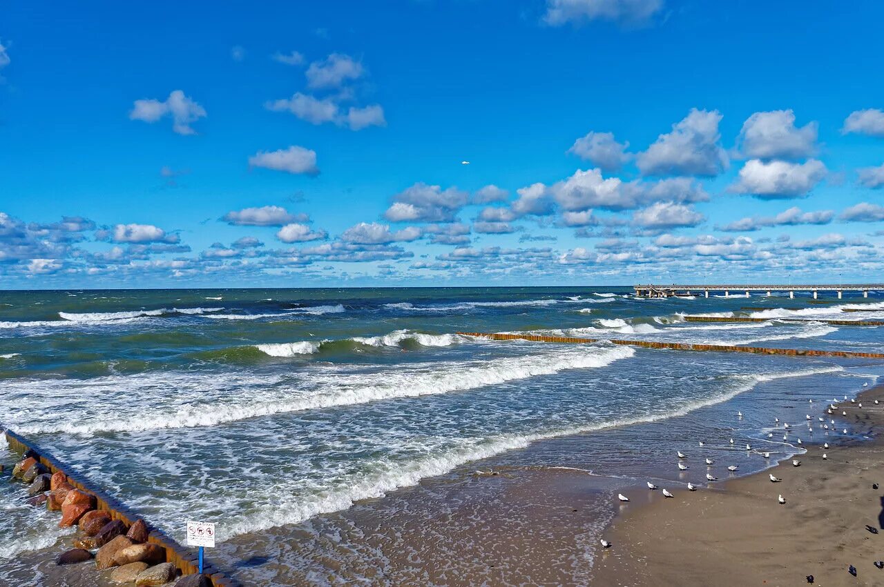 Зеленоградск Калининградской Балтийское море. Берег Балтийского моря Зеленоградск. Балтийское море Зеленоградск Светлогорск. Балтийское море Зеленоградск Калининград.