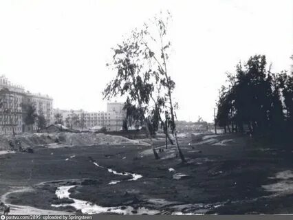 Река таракановка санкт петербург