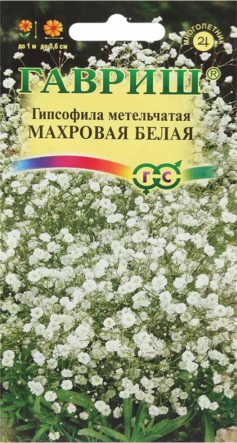Гипсофила filou. Гипсофила изящная смесь. Гипсофилы цветы семена. Гипсофила метельчатая высота. Семена гипсофила махровая многолетняя.