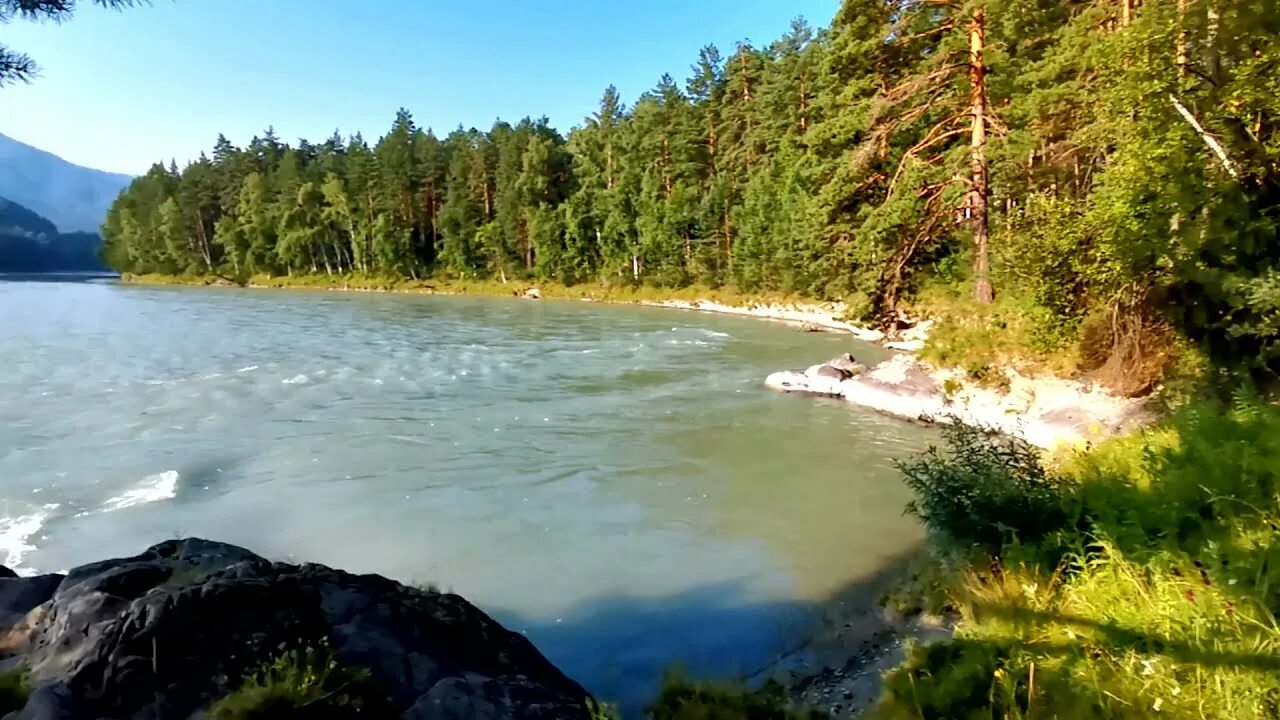 Река Тюгурюк горный Алтай. Рыбалка Алтай Катунь. Хариус на Катуни. Рыбалка на Катуни.