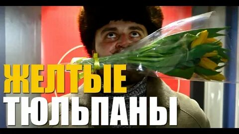 Желтые тюльпаны мы в ванной текст