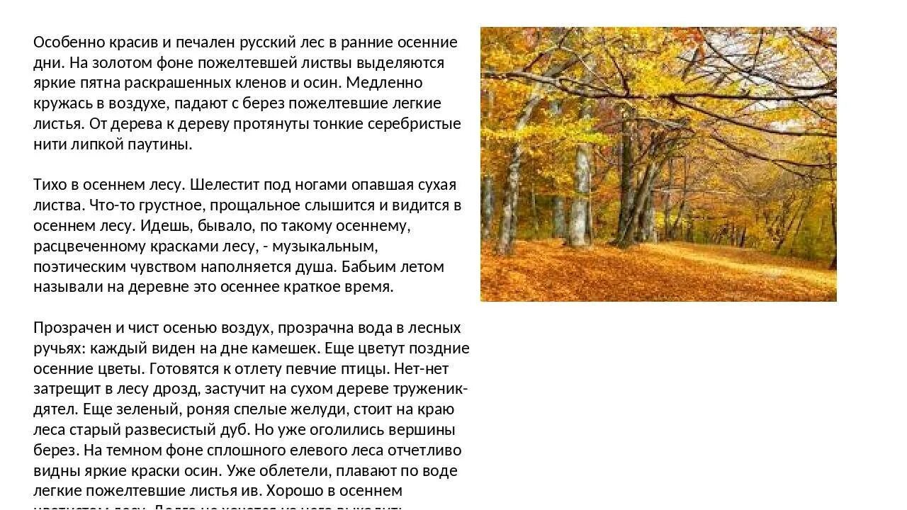 Однажды вечером я сидел на своей. Текст ранняя осень. Описать природу осенью. Описание поздней осени сочинение. Особенно красив и печален лес в ранние осенние.