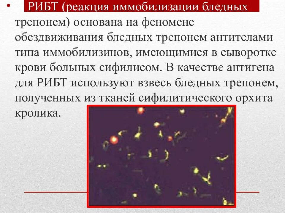 Диагностика трепонемы. Диагностика трепонемы. Цист форма бледной трепонемы. Диагностика трепонемы. Методика обследования на сифилис.