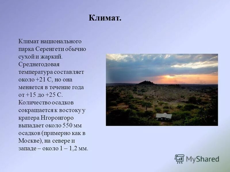 Проект национальный парк танзании Создание национального парка в Танзании презентация, доклад, проект скачать