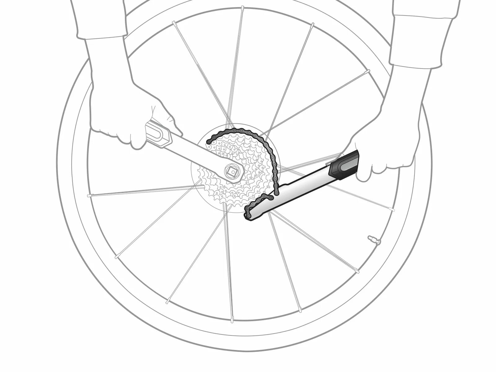 Трещотка заднего колеса велосипеда. Съёмник кассеты Topeak TPS-sp39. Съемник трещотки велосипеда чертеж. Съемник кассеты велосипеда чертеж. Съемник каретки велосипеда чертеж.